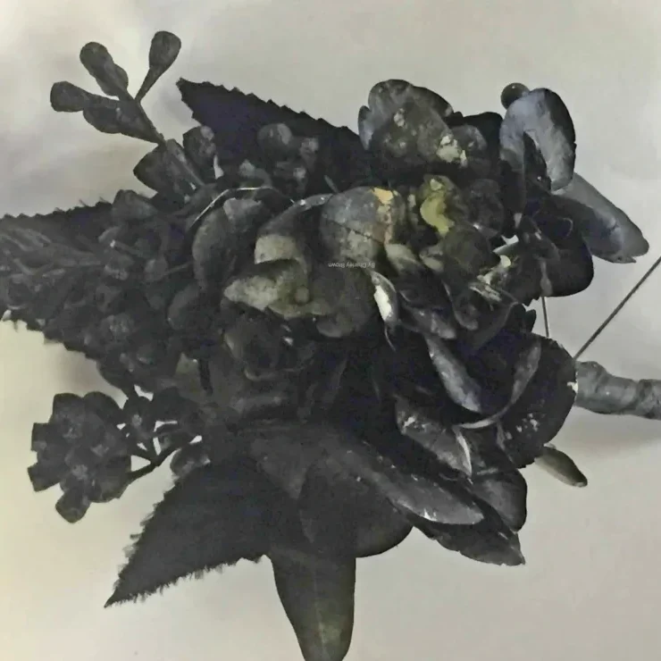 A black flower is sitting on top of the table.